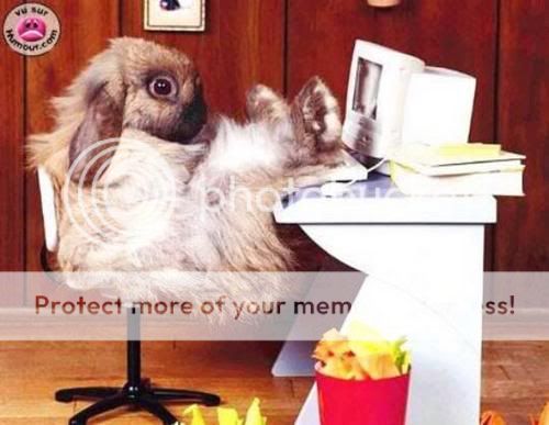 MariGinik no trabaio